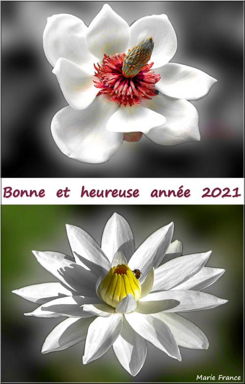 Marie France Bourdaire