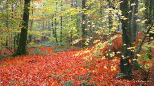 Gilbert Coutelet : Rouge d'automne